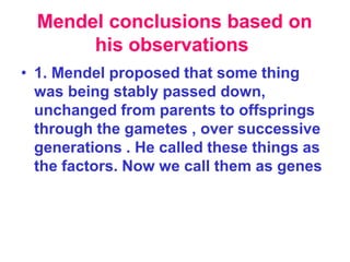 Mendel conclusions based on
his observations
• 1. Mendel proposed that some thing
was being stably passed down,
unchanged from parents to offsprings
through the gametes , over successive
generations . He called these things as
the factors. Now we call them as genes
 