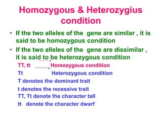 Homozygous & Heterozygius
condition
• If the two alleles of the gene are similar , it is
said to be homozygous condition
• If the two alleles of the gene are dissimilar ,
it is said to be heterozygous condition
TT, tt Homozygous condition
Tt Heterozygous condition
T denotes the dominant trait
t denotes the recessive trait
TT, Tt denote the character tall
tt denote the character dwarf
 