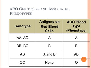 Heredity and Evolution Class X Priya Jha | PDF