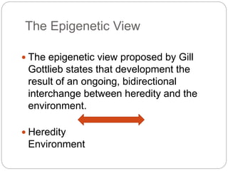 The Epigenetic View
 The epigenetic view proposed by Gill
Gottlieb states that development the
result of an ongoing, bidirectional
interchange between heredity and the
environment.
 Heredity
Environment
 
