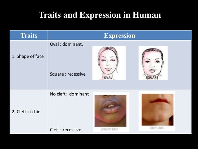 21 Images Straight Hair Dominant Or Recessive