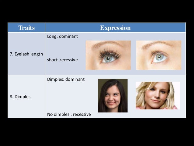 how eyelashes draw to face variation and Heredity, inheritance,