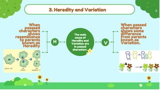 3. Heredity and Variation
When passed
characters
shows some
difference
from parents
known as
Variation.
When
passsed
characters
shows
resemblance
to parents
known as
Heredity
The main
cause of
Heredity and
Variation are
In passed
characters .
H V
 