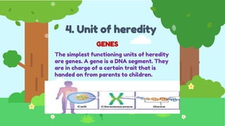 4. Unit of heredity
GENES
The simplest functioning units of heredity
are genes. A gene is a DNA segment. They
are in charge of a certain trait that is
handed on from parents to children.
 