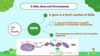 5. DNA, Gene and Chromosomes
1
2
3
A gene is a short section of DNA.
A segment of DNA have a specific
sequence of nucleotides called genes.
Chromosomes are made of very long DNA
segments.
GENE
Unit
of
heredity
DNA
 
