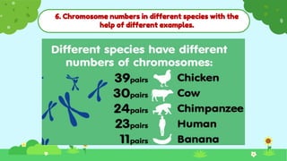 6. Chromosome numbers in different species with the
help of different examples.
 