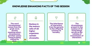 The word
‘chromosomes’
comes from the
greek word,
chrome
meaning colour.
chromosomes
got their names
owing to being
stained by
dyes.
The inheritance
of characters
from the parents
to the offspring
is known as
heredity.
The
chromosomes
present in the
nucleus of all
living beings
serves as the
vehicles of
transmission of
characters.
Nucleus in
the mature
cells of all
higher
organisms
contain
chromatin.
KNOWLEDGE ENHANCING FACTS OF THIS SESSION
 