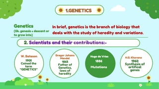 1.GENETICS
Genetics
(Gk. genesis = descent or
to grow into)
In brief, genetics is the branch of biology that
deals with the study of heredity and variations.
Gregor Johann
Mendel
1865
Father of
Genetics,
laws of
heredity
H.G. Khorana
1960
Synthesis of
artifical
genes
W. Bateson
1905
Coined the
term
“GENETICS”
Hugo de Vries
1886
Mutations
2. Scientists and their contributions:-
 