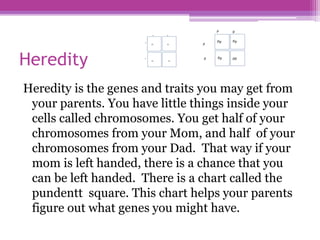 Heredity reflection | PPTX