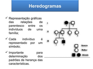 Heredogramas
       A segunda Lei de Mendel
 Representação gráficas
  das      relações   de
  parentesco entre os
  indivíduos    de   uma
  família;
 Cada     indivíduo    é
  representado por     um
  símbolo;
 Importante        para
  determinação       dos
  padrões de herança das
  características.
 