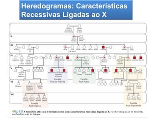 Heredogramas: Características
  A segunda Lei de Mendel
Recessivas Ligadas ao X
 
