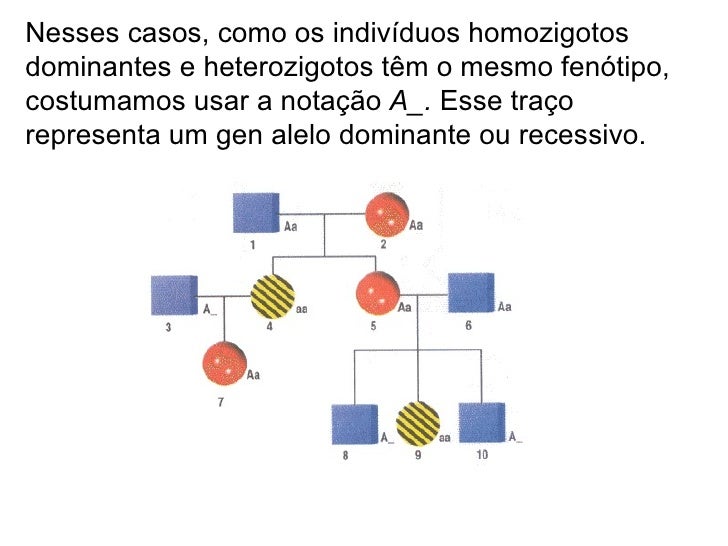 A Anomalia é Causada Por Um Gene Dominante Ou Recessivo