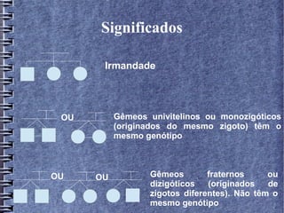 Significados

       Irmandade




 OU        Gêmeos univitelinos ou monozigóticos
           (originados do mesmo zigoto) têm o
           mesmo genótipo



OU    OU          Gêmeos        fraternos     ou
                  dizigóticos   (originados   de
                  zigotos diferentes). Não têm o
                  mesmo genótipo
 