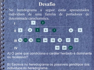Desafio

    No heredograma a seguir estão apresentados
    indivíduos de uma família de portadores de
    determinada característica.
                           1        2
      I
                      4        5
      II    3                           6     7                       8         9




      III   10   11   12       13       14   15        16        17        18


      IV                                          19        20        21

A) O gene que condiciona o caráter herdado é dominante
ou recessivo?

B) Escreva no heredograma os possíveis genótipos dos
indivíduos do heredograma.
 