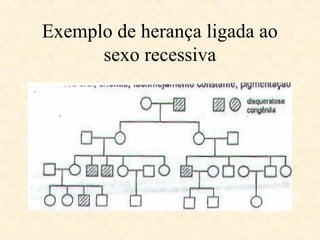 Exemplo de herança ligada ao
sexo recessiva
 