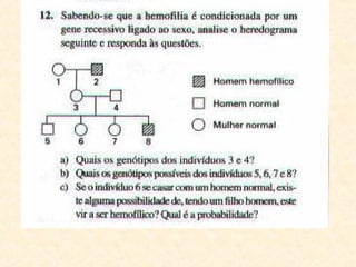 Heredogramas genetica 