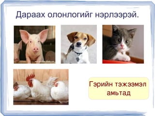 Дараах олонлогийг нэрлээрэй.




                      Гэрийн тэжээмэл 
                          амьтад
                   
 