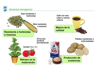 Retraso en la
maduración
Producción de
sustancias
Mejora de la
calidad
alimentos transgenico
tomate Flavr Svr
Café con mas
sabor y menos
cafeina
Resistente a herbicidas
e insectos
Maiz resistente
a insectos
Arroz que
produce
provitaminaA
Soja resistente a
herbicidas
Patatas resistentes a
enfermedades
 