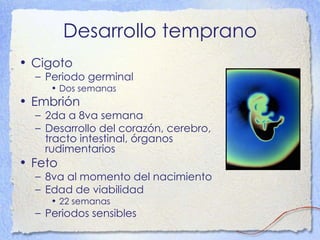 Desarrollo temprano Cigoto Periodo germinal Dos semanas Embrión 2da a 8va semana Desarrollo del corazón, cerebro, tracto intestinal, órganos rudimentarios Feto 8va al momento del nacimiento Edad de viabilidad  22 semanas  Periodos sensibles 