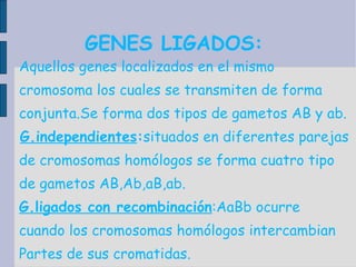 GENES LIGADOS:  Aquellos genes localizados en el mismo cromosoma los cuales se transmiten de forma conjunta.Se forma dos tipos de gametos AB y ab. G.independientes : situados en diferentes parejas de cromosomas homólogos se forma cuatro tipo de gametos AB,Ab,aB,ab. G.ligados con recombinación :AaBb ocurre cuando los cromosomas homólogos intercambian Partes de sus cromatidas. 