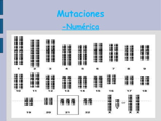 Mutaciones -Numérica 