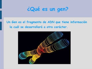 ¿Qué es un gen? Un Gen es el fragmento de ADN que tiene información la cuál se desarrollará a otro carácter. 