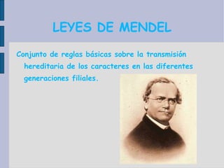 LEYES DE MENDEL Conjunto de reglas básicas sobre la transmisión hereditaria de los caracteres en las diferentes generaciones filiales. 