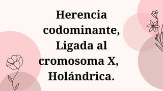 Herencia
codominante,
Ligada al
cromosoma X,
Holándrica.
 