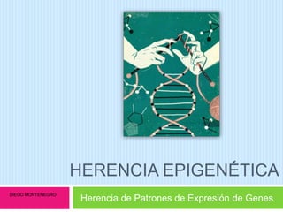 HERENCIA EPIGENÉTICA
Herencia de Patrones de Expresión de Genes
DIEGO MONTENEGRO
 