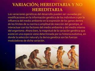 . 
VARIACIÓN; HEREDITARIA Y NO 
HEREDITARIA 
Las variaciones genéticas del desarrollo pueden ser causadas por 
modificaciones en la información genética de los individuos o por la 
influencia del medio ambiente en la expresión de los genes dentro 
de los límites de su norma o amplitud de reacción del genotipo, al 
interactuar con los factores del medio ambiente y del medio interno 
del organismo. Ahora bien, la magnitud de la variación genética que 
existe en una especie viene determinada por su historia evolutiva, en 
donde la selección natural y la deriva genética son las fuerzas 
moduladoras de dicha variación. 
 