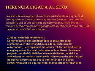 HERENCIA LIGADA AL SEXO 
La especie humana posee 46 cromosomas dispuestos en 23 pares, de 
esos 23 pares 22 son somáticos o autosomas (heredan caracteres no 
sexuales) y uno es una pareja de cromosomas sexuales (llamados 
también heterocromosomas o gonosomas), identificados como XX en las 
mujeres y como XY en los hombres. 
¿Qué es la herencia mitocondrial? 
La mayor parte del material genético se encuentra en los 
cromosomas en el interior del núcleo de la célula, pero las 
mitocondrias, unos orgánulos del interior celular que producen la 
energía que se utiliza en el metabolismo, también contienen una 
pequeña cantidad de ADN denominado ADN mitocondrial. Las 
alteraciones del material genético de las mitocondrias son la causa 
de algunas enfermedades que se transmiten con un patrón 
característico debido a que las mitocondrias solo se heredan de la 
 