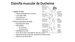 Distrofia muscular de Duchenne
• Ligada al sexo
• Afecta prácticamente a varones
• 1 de cada 3.000
• Cromosoma X
• Mutación de novo
• Clínica (comienza al año)
• Deambulación tardía
• Dificultades
• en la marcha
• para levantarse
• Debilidad muscular
• A los 10-12 años necesidad de silla de ruedas
• Afectación de los músculos respiratorios (infecciones)
• Muerte a los 20-25 años
 