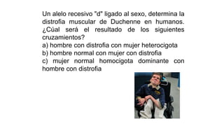 Un alelo recesivo "d" ligado al sexo, determina la
distrofia muscular de Duchenne en humanos.
¿Cúal será el resultado de los siguientes
cruzamientos?
a) hombre con distrofia con mujer heterocigota
b) hombre normal con mujer con distrofia
c) mujer normal homocigota dominante con
hombre con distrofia
 