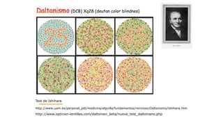 Daltonismo (DCB) Xq28 (deutan color blindnes)
http://www.opticien-lentilles.com/daltonien_beta/nueva_test_daltoniano.php
Test de Ishihara
http://www.uam.es/personal_pdi/medicina/algvilla/fundamentos/nervioso/Daltonismo/ishihara.htm
 
