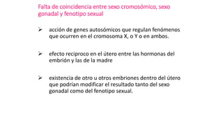 Falta de coincidencia entre sexo cromosómico, sexo
gonadal y fenotipo sexual
 acción de genes autosómicos que regulan fenómenos
que ocurren en el cromosoma X, o Y o en ambos.
 efecto reciproco en el útero entre las hormonas del
embrión y las de la madre
 existencia de otro u otros embriones dentro del útero
que podrían modificar el resultado tanto del sexo
gonadal como del fenotipo sexual.
 