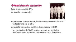 Feminización testicular:
Sexo cromosómico (XY),
desarrollo como mujer,
mutación en cromosoma X, bloquea respuesta celular a la
testosterona o a la DHT.
desarrollo como si no existiera testosterona ni DHT,
los conductos de Wolff se degeneran y los genitales
indiferenciados aparecen como estructuras femeninas
 