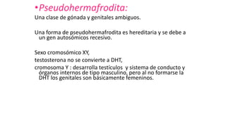 •Pseudohermafrodita:
Una clase de gónada y genitales ambiguos.
Una forma de pseudohermafrodita es hereditaria y se debe a
un gen autosómicos recesivo.
Sexo cromosómico XY,
testosterona no se convierte a DHT,
cromosoma Y : desarrolla testículos y sistema de conducto y
órganos internos de tipo masculino, pero al no formarse la
DHT los genitales son básicamente femeninos.
 