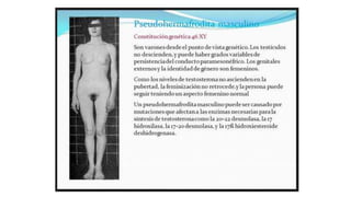 Herencia_Ligada_al_Sexo.pptx