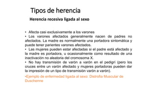 Tipos de herencia
Herencia recesiva ligada al sexo
• Afecta casi exclusivamente a los varones
• Los varones afectados generalmente nacen de padres no
afectados. La madre es normalmente una portadora sintomática y
puede tener parientes varones afectados.
• Las mujeres pueden estar afectadas si el padre está afectado y
la madre es portadora, u ocasionalmente como resultado de una
inactivación no aleatoria del cromosoma X.
• No hay transmisión de varón a varón en el pedigrí (pero los
cruces entre un varón afectado y mujeres portadoras pueden dar
la impresión de un tipo de transmisión varón a varón).
•Ejemplo de enfermedad ligada al sexo: Distrofia Muscular de
Duschenne
 