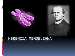 HERENCIA MENDELIANA
 
