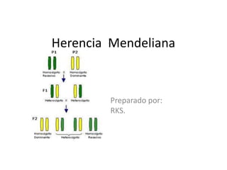 Herencia Mendeliana
Preparado por:
RKS.
 