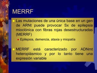 Herencia mitocondrial | PPTX
