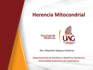 Herencia Mitocondrial
Departamento de Genética y Medicina Genómica
Universidad Autónoma de Guadalajara
Dra. Alejandra Vázquez Cárdenas
 
