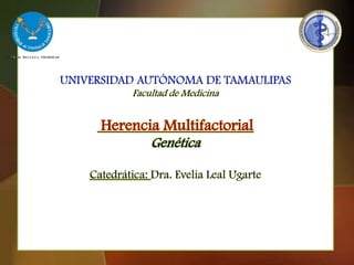 UNIVERSIDAD AUTÓNOMA DE TAMAULIPAS
            Facultad de Medicina


      Herencia Multifactorial
                Genética

    Catedrática: Dra. Evelia Leal Ugarte
 