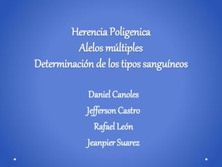 Herencia Poligenica
Alelos múltiples
Determinación de los tipos sanguíneos
Daniel Canoles
Jefferson Castro
Rafael León
Jeanpier Suarez
 