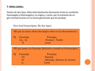 Herenciapostmendeliana 2° medio | PPT