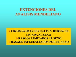 EXTENCIONES DEL
ANALISIS MENDELIANO
CROMOSOMAS SEXUALES Y HERENCIA
LIGADAAL SEXO
RASGOS LIMITADOS AL SEXO
RASGOS INFLUENCIADOS POR EL SEXO
 