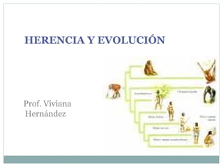 HERENCIA Y EVOLUCIÓN




Prof. Viviana
Hernández
 