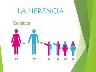 LA HERENCIA
 