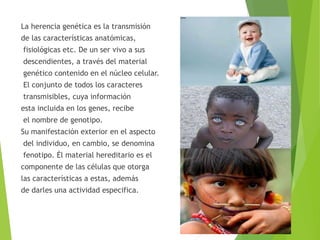La herencia genética es la transmisión
de las características anatómicas,
fisiológicas etc. De un ser vivo a sus
descendientes, a través del material
genético contenido en el núcleo celular.
El conjunto de todos los caracteres
transmisibles, cuya información
esta incluida en los genes, recibe
el nombre de genotipo.
Su manifestación exterior en el aspecto
del individuo, en cambio, se denomina
fenotipo. Él material hereditario es el
componente de las células que otorga
las características a estas, además
de darles una actividad especifica.
 
